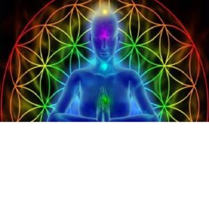 SPRAY BAÑOS Y LIMPIADOR AURICO